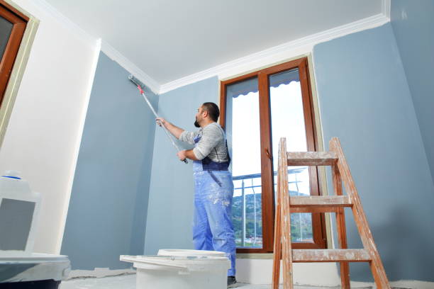 Best Black Mold Removal  in Shrub Oak, NY