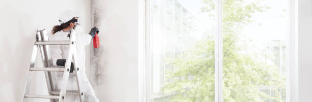 Best HVAC Mold Inspection and Cleaning  in Shrub Oak, NY
