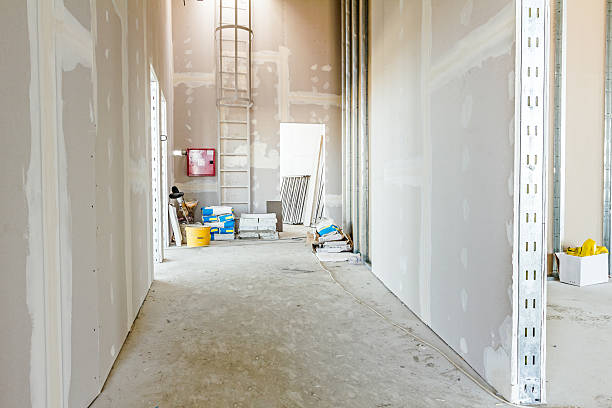 Best Post-Construction Mold Inspection  in Shrub Oak, NY